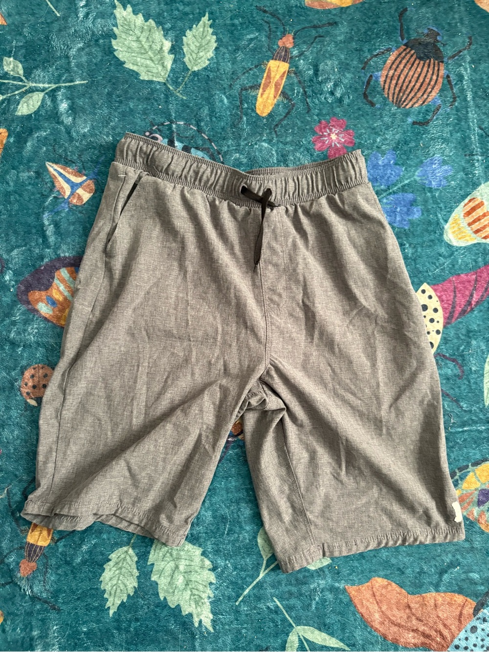 🦭Grey summer shorts 🦭